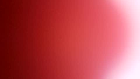 Snapshot of rhino69xx chatting on 8, 12, 2024 rhino69xx online show from 8, 12, 2024