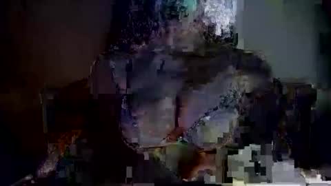 Tina online show from 21, 2, 2026