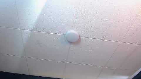 Ricardo online show from 19, 9, 2025