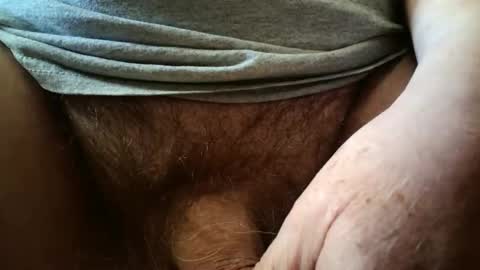 Always crusing cams online show from 17, 3, 2026