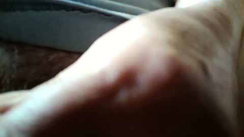 Always crusing cams online show from 7, 4, 2026