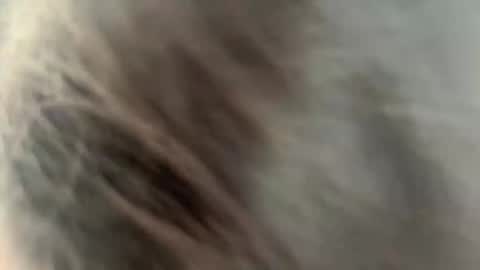 Ammy here its my first stream here online show from 27, 2, 2026