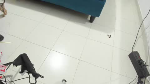 Snapshot of rihanna_hotx chatting on 12, 11, 2025 Rihanna hotx online show from 12, 11, 2025