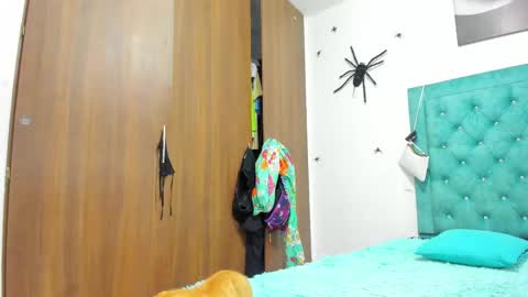 Snapshot of rihanna_hotx chatting on 20, 11, 2025 Rihanna hotx online show from 20, 11, 2025