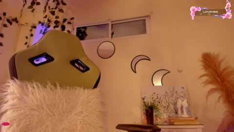 Snapshot of riiley_ chatting on 17, 12, 2024 Independent model online show from 17, 12, 2024