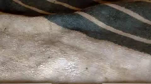 Snapshot of rimachaka chatting on 27, 12, 2024 rimachaka online show from 27, 12, 2024