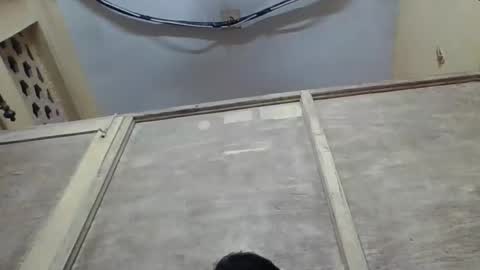 rimshi online show from 17, 4, 2026