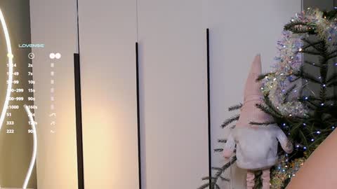 Snapshot of rinassecret chatting on 25, 12, 2024 Rina online show from 25, 12, 2024