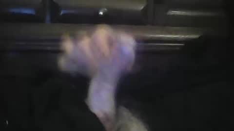 rlpl online show from 23, 2, 2026