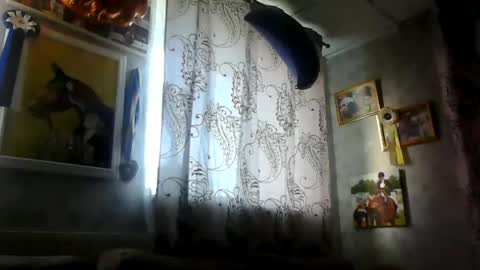 Snapshot of rob18997 chatting on 16, 11, 2025 rob18997 online show from 16, 11, 2025