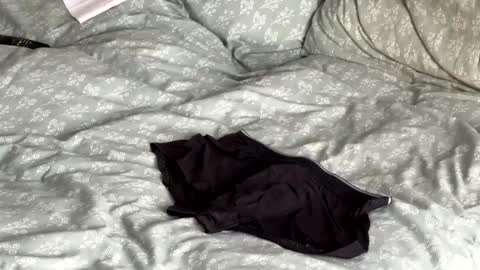 rob616580 online show from 30, 4, 2026