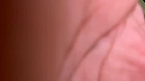 Snapshot of roberto925 chatting on 10, 1, 2025 roberto925 online show from 10, 1, 2025