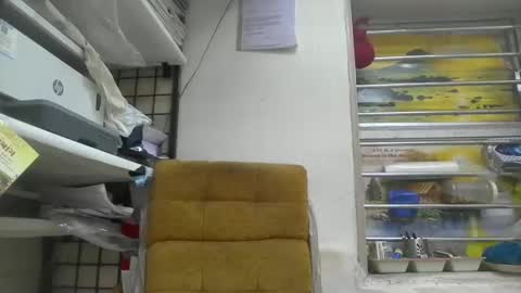 Robertsalia online show from 28, 12, 2024