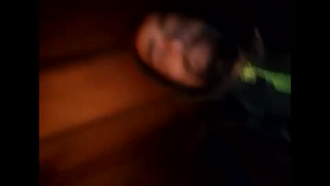 Snapshot of robincom23 chatting on 28, 1, 2025 R online show from 28, 1, 2025