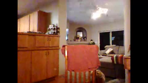 Snapshot of robo0000 chatting on 20, 11, 2025 robo0000 online show from 20, 11, 2025