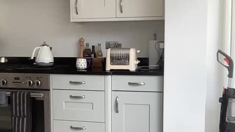 Snapshot of robsmile22000 chatting on 12, 9, 2025 Robs sensuous cam for discerning ladies online show from 12, 9, 2025