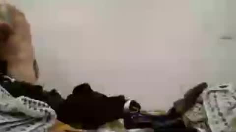 rocknrolla__ online show from 28, 6, 2026