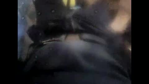 Snapshot of rollino83 chatting on 6, 11, 2025 rollino83 online show from 6, 11, 2025