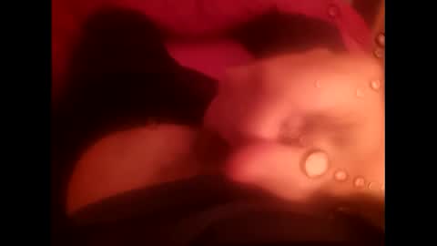 Snapshot of rollino83 chatting on 17, 12, 2025 rollino83 online show from 17, 12, 2025