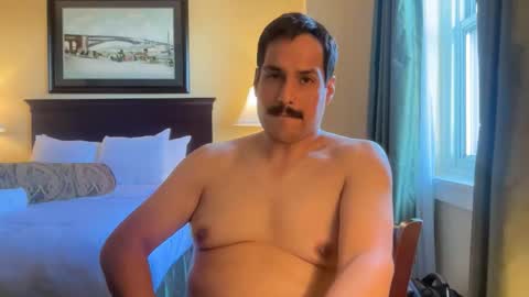 romancubbear online show from 25, 4, 2026