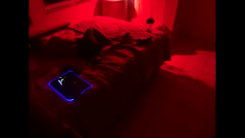 romeotyn online show from 21, 2, 2025