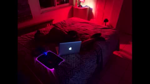 romeotyn online show from 21, 2, 2025