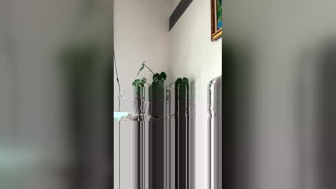 Roni Hall online show from 29, 3, 2026