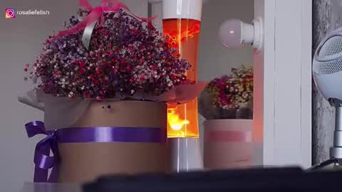 Rosalie online show from 15, 9, 2025