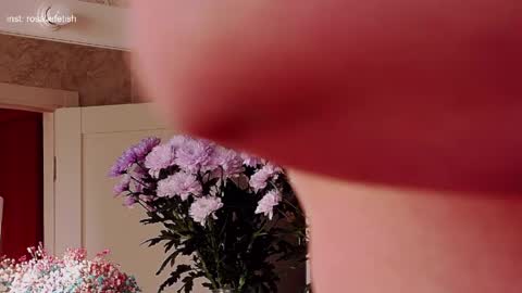 Rosalie online show from 31, 3, 2026