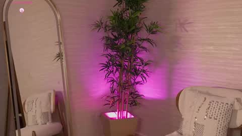 Rose  online show from 8, 3, 2026