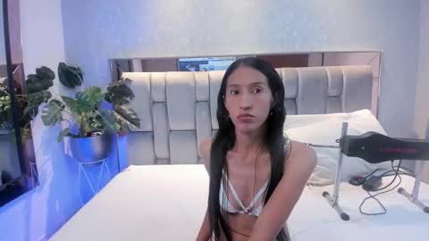 Rose online show from 4, 11, 2025