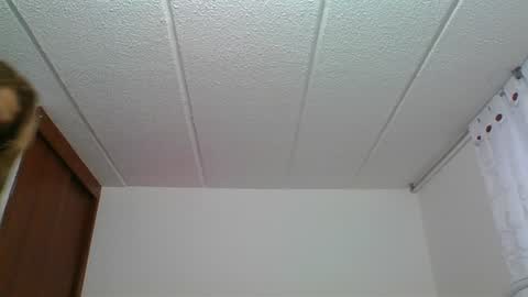 Rossana  online show from 30, 12, 2024