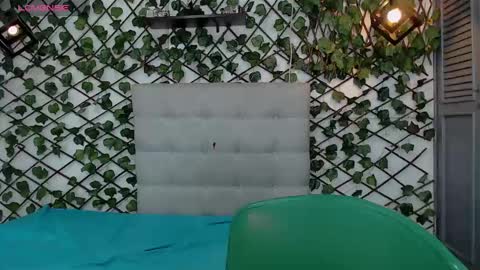 Rous online show from 24, 2, 2025