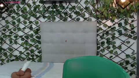 Rous online show from 1, 3, 2025