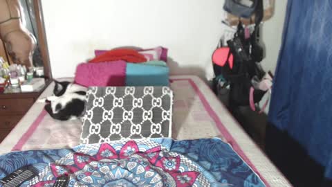 rousse online show from 29, 12, 2024