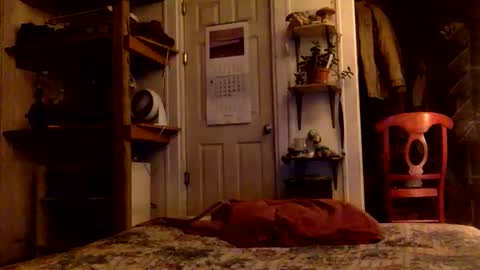 rp131313 online show from 15, 11, 2025