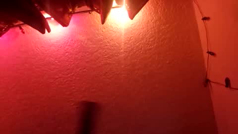 Snapshot of rudy11448 chatting on 19, 10, 2025 rudy11448 online show from 19, 10, 2025