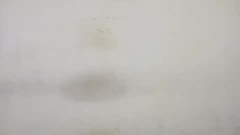 Rupali online show from 16, 2, 2025