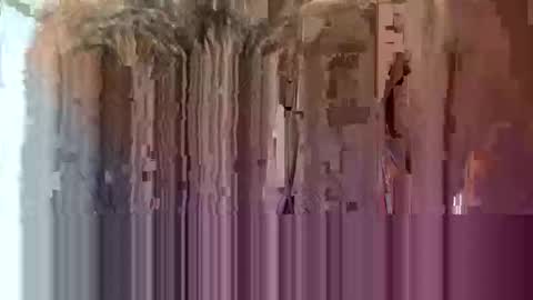 ryan_lindsey online show from 16, 11, 2025