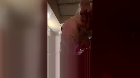 ryder868 online show from 17, 4, 2026