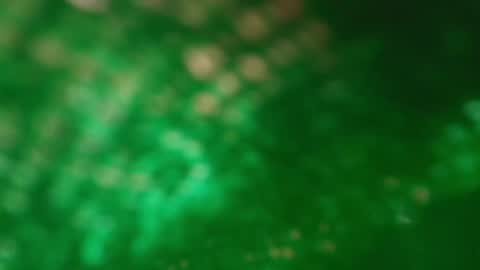 s_sofia_ online show from 25, 1, 2025