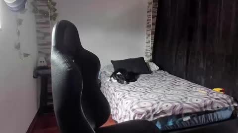 Danny online show from 2, 11, 2025