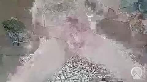 saige5558 online show from 22, 2, 2026