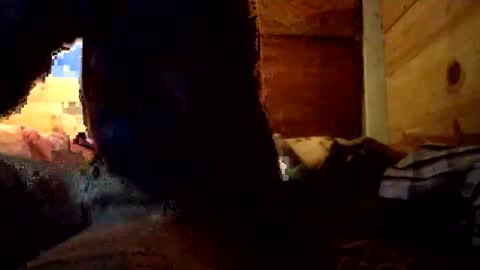 Snapshot of salido543 chatting on 14, 12, 2025 Penoso online show from 14, 12, 2025