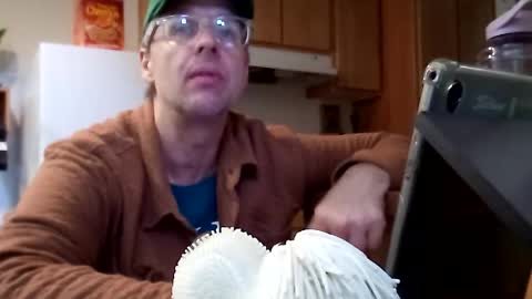 salis1981 online show from 21, 11, 2025