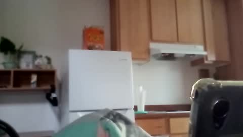 salis1981 online show from 17, 12, 2025