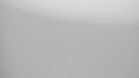 Snapshot of salvatore_damore chatting on 29, 1, 2025 SALVATORE online show from 29, 1, 2025