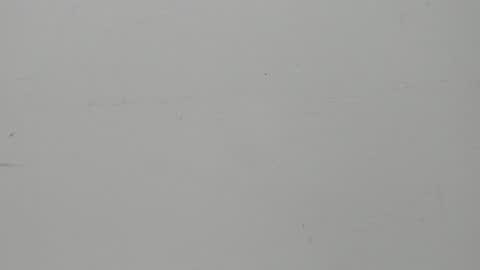 Snapshot of salvatore_damore chatting on 5, 2, 2025 SALVATORE online show from 5, 2, 2025