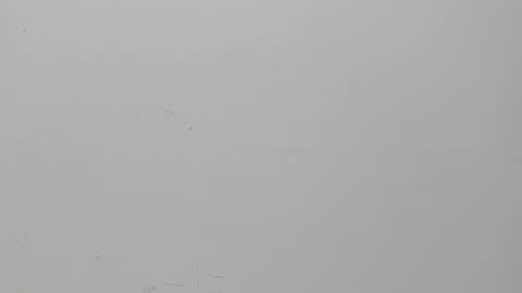 Snapshot of salvatore_damore chatting on 6, 2, 2025 SALVATORE online show from 6, 2, 2025