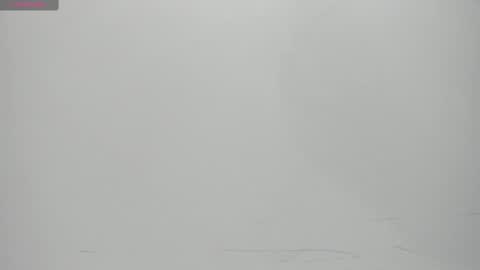 Snapshot of salvatore_damore chatting on 14, 2, 2025 SALVATORE online show from 14, 2, 2025